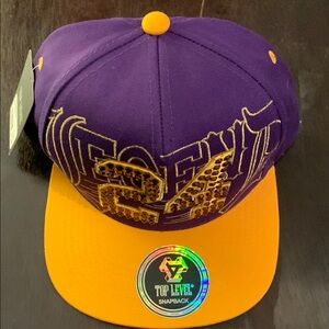 Purple and Gold Snapback Hat